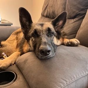 Meet your Posher, Alisha